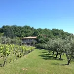 Cigui Muggia