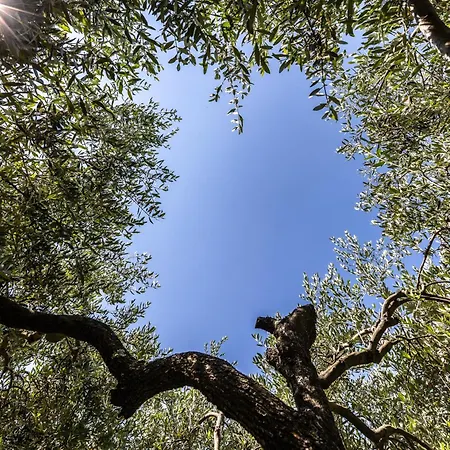 Cigui Pensjonat Múggia